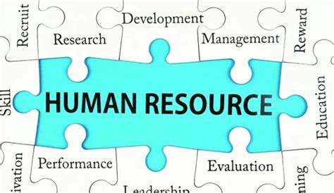 Career Growth and Human Resource Strategies The Role of the Human Resource Professional in Employee PDF