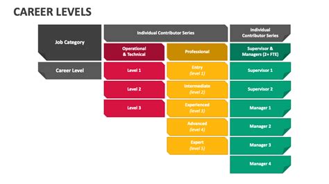 Career Path: From Entry-Level to Leadership