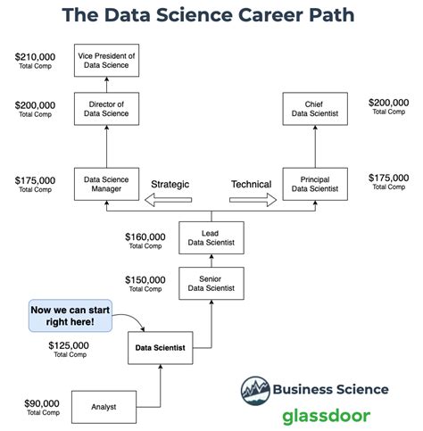 Career Path In Data Science
