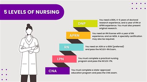 Career Paths Nursing