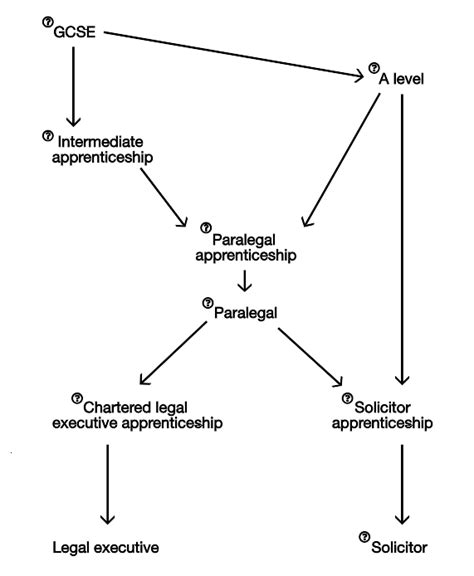 Career Paths in the Legal Field