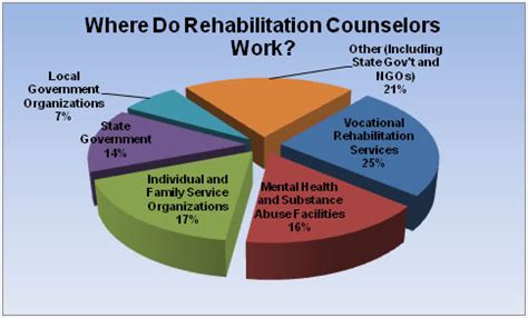 Careers in Social and Rehabilitation Services Epub