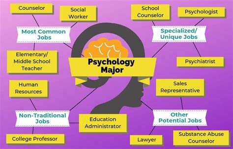 Careers with a Bachelor's in Psychology