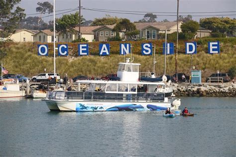 Carlsbad CA Whale Watching: Witness the Majestic Giants of the Sea