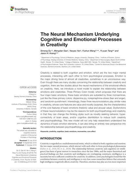 Carmen_nem: A Novel Approach to Understanding the Neural Mechanisms Underlying Creativity