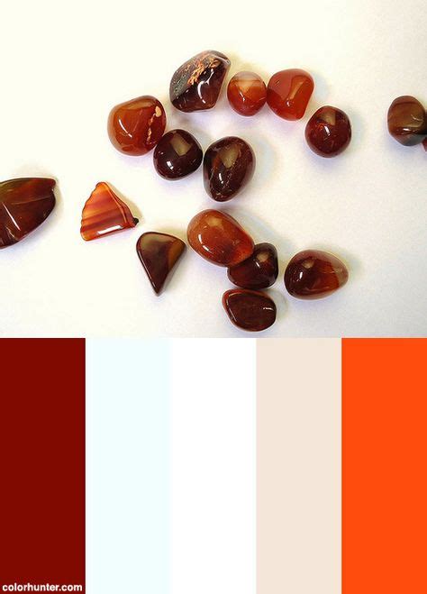 Carnelian Colours: A Radiant Palette that Inspires