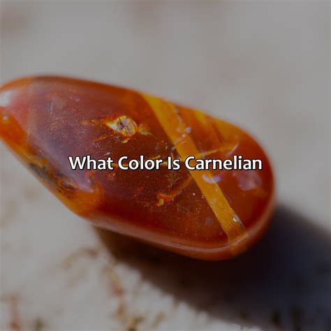 Carnelian Colours VS Colours of 2025: A Study in Contrast