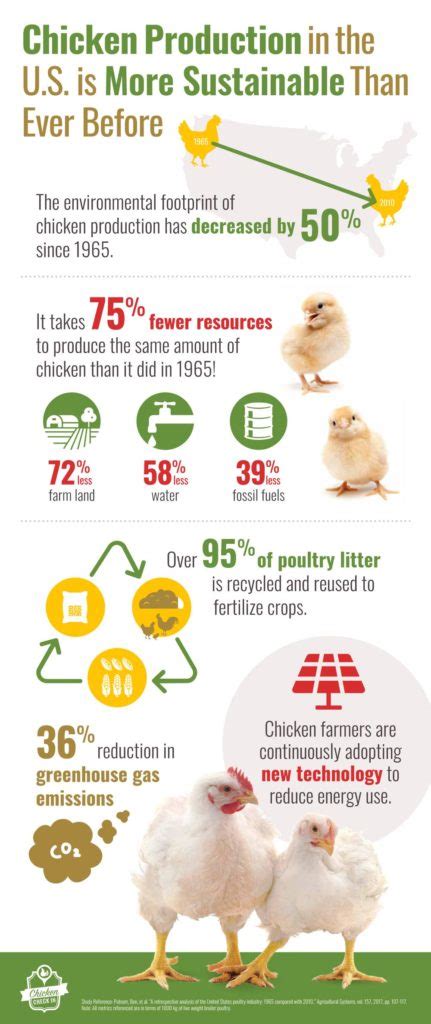 Carolina Coop: A Guide to Sustainable Poultry Production