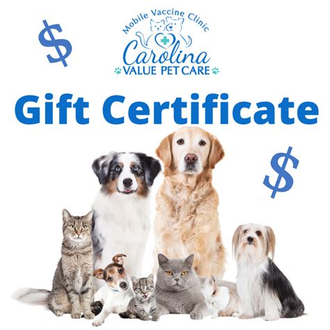 Carolina Value Pet Care: Your Trusted Partner for Affordable and Compassionate Pet Care