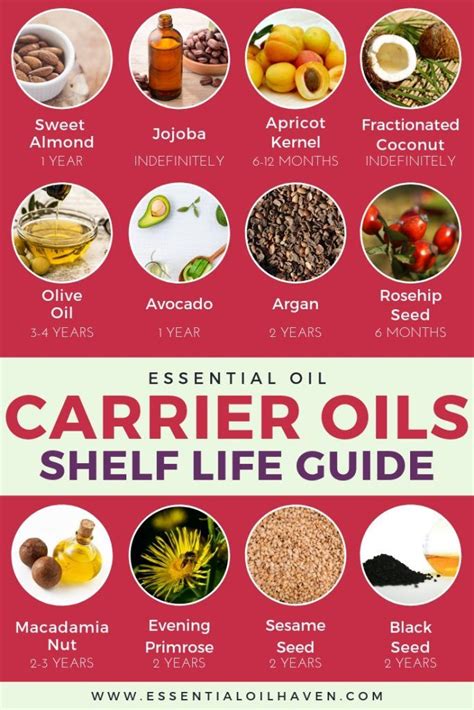 Carrier Oils for Essential Oils: The Essential Guide