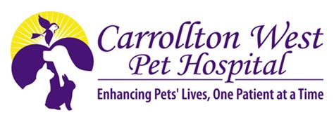 Carrollton West Pet Hospital: Providing Exceptional Care for Your Furry Friends