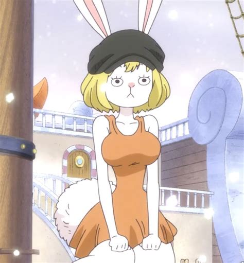 Carrot One Piece: The Sweet and Versatile Tribute to Usagi