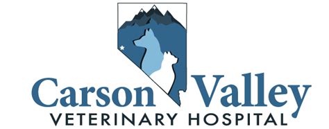 Carson Valley Veterinary Hospital: A Haven for Pets and Owners Alike