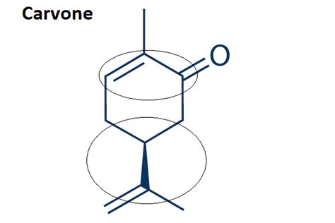 Carvone Has How Many Isoprene: 4 Extraordinary Industries To Explore