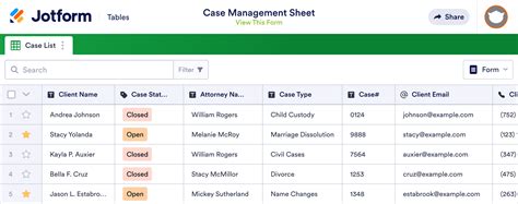 Case Management Database Template