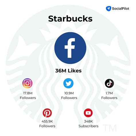 Case Studies: Brands That Mastered Social Media