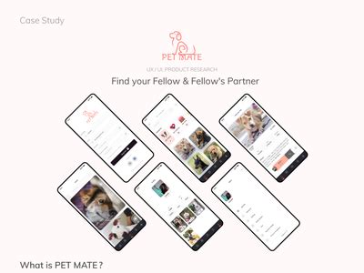 Case Study 1: Petmate's Innovation in Pet Toys