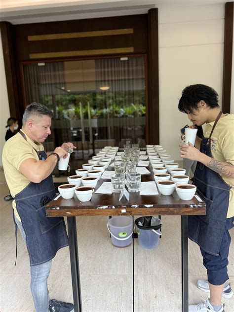 Casey and Mago Coffey: Unveiling the Magic of Coffee Excellence