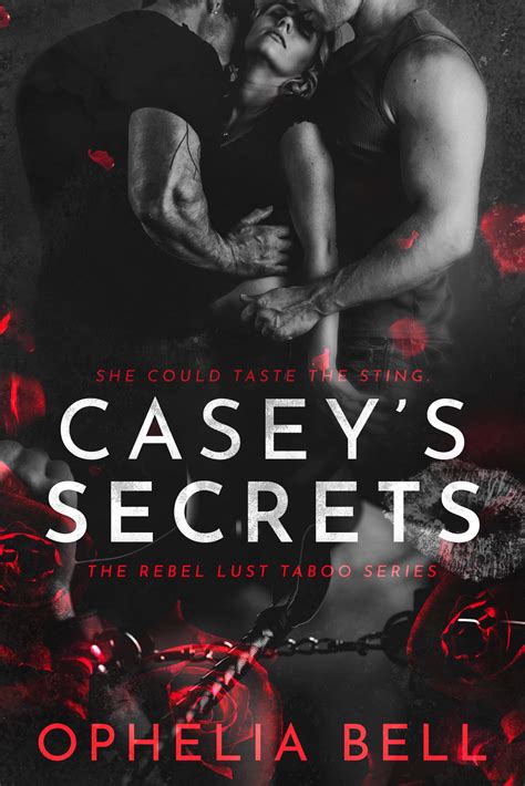 Casey s Secrets 3 Book Series PDF