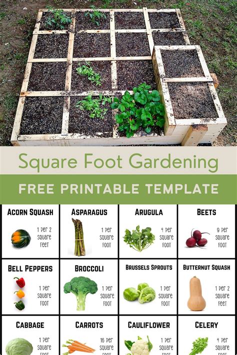 Cash from Square Foot Gardening PDF