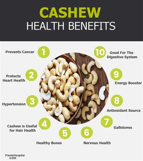 Cashew Nut: Medical Significance and Surgical Management