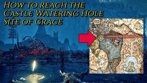 Castle Watering Hole: Site of Grace