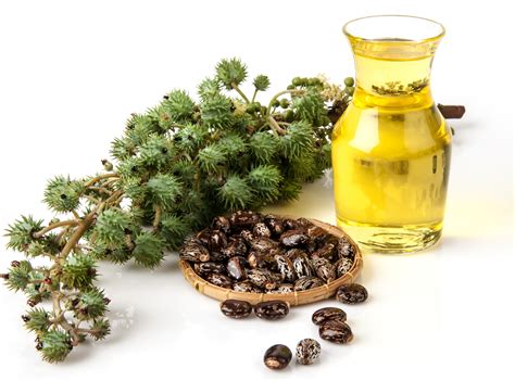 Castor Oil: