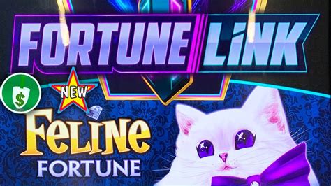 Cat 2023 Slot 2: The Purrfect Guide to Feline Fortune