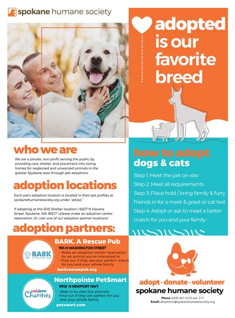 Cat Adoption Awareness Month 2025: VS Humane Society