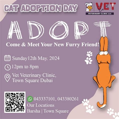 Cat Adoption Events Near Me: Find Your Purr-fect Match!