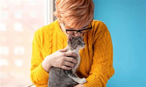 Cat Adoption Sacramento Area: A Guide to Bringing a Feline Friend Home