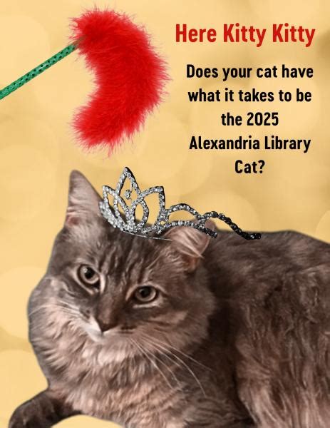 Cat Catalog Library