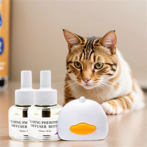 Cat Change Anxiety and Diffusers: The Ultimate 2025 Guide