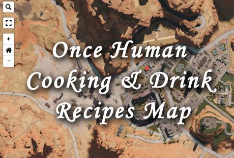 Cat Cooking Recipes VS Human Cooking Recipes: 2025 Showdown