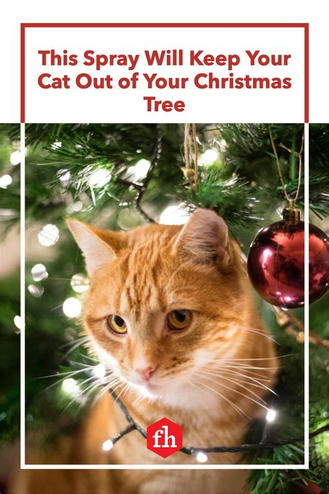 Cat Deterrent Ornaments: Adorning Your Home While Keeping Cats at Bay