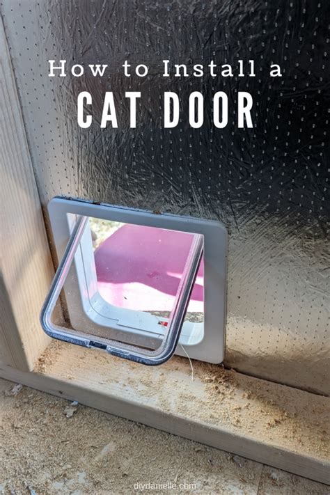 Cat Door Installation and Setup: A Comprehensive Guide