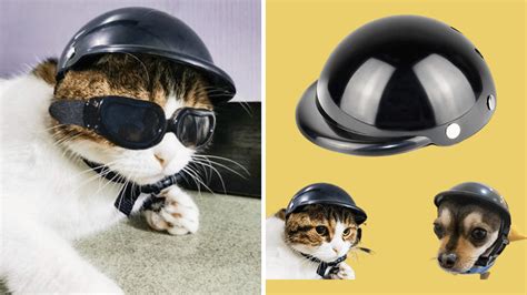 Cat Ear Helmets: A Purr-fect Way to Stay Safe and Stylish