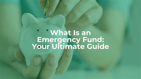 Cat Emergency Funding and Resources 2025: Ultimate Guide