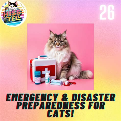 Cat Emergency Preparedness for Seniors: Safeguarding Your Beloved Feline in 2025