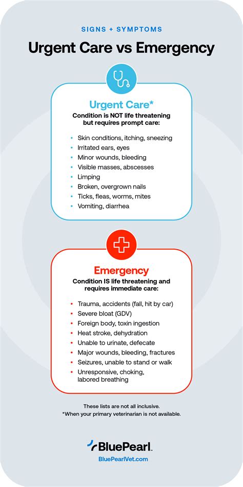 Cat Emergency Veterinary Care 2025: VS Urgent Care Centers