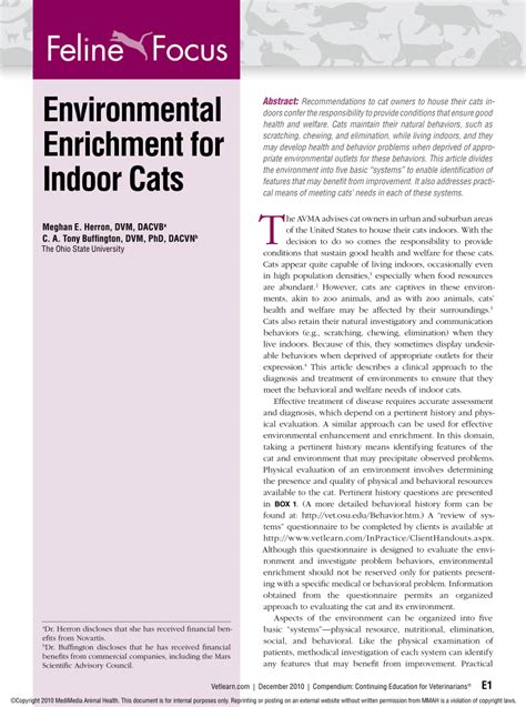 Cat Environmental Enrichment Research: 4 Levels for 2025