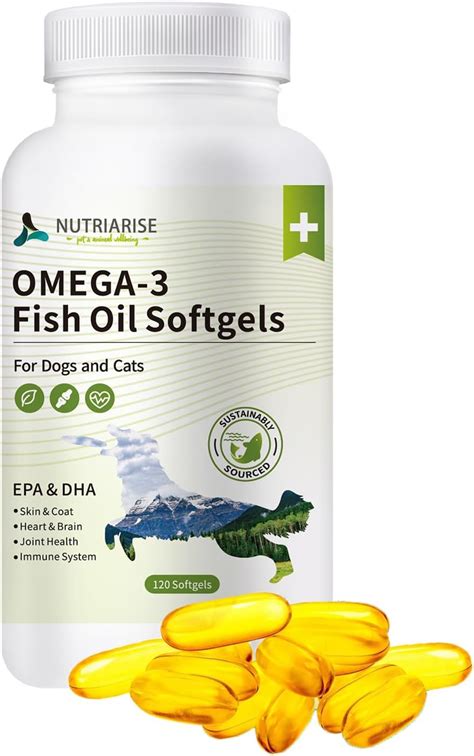 Cat Fish Oil Ordering vs Shipping FAQs 2025: Ultimate Guide