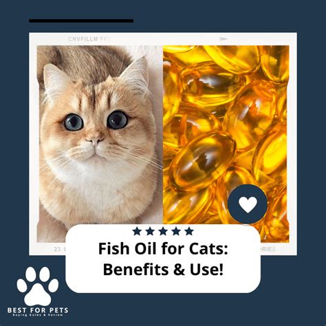 Cat Fish Oil ordering and shipping FAQs