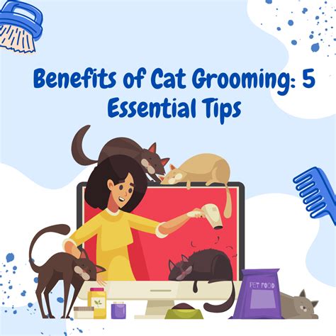 Cat Grooming: 10 Essential Tips and Tricks for 2025