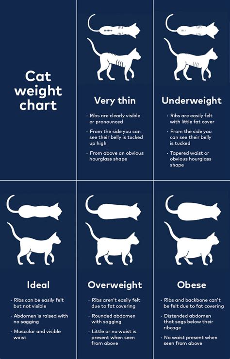 Cat Healthy Weight Chart