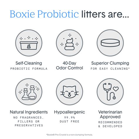 Cat Litter 101: Probiotics vs. Non-Probiotics