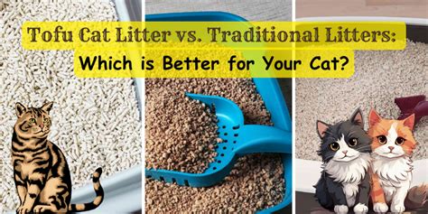 Cat Litter Dust Reduction in 2025: VS. Traditional Methods