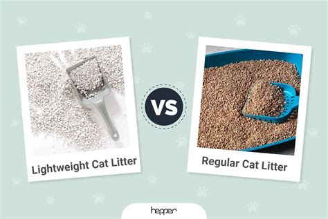 Cat Litter Education VS Resources: 2025 Guide