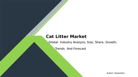 Cat Litter Industry Trends 2025: Innovation VS Convenience