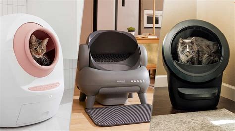 Cat Litter VS Robotic Litter Boxes: The Ultimate 2025 Comparison Guide